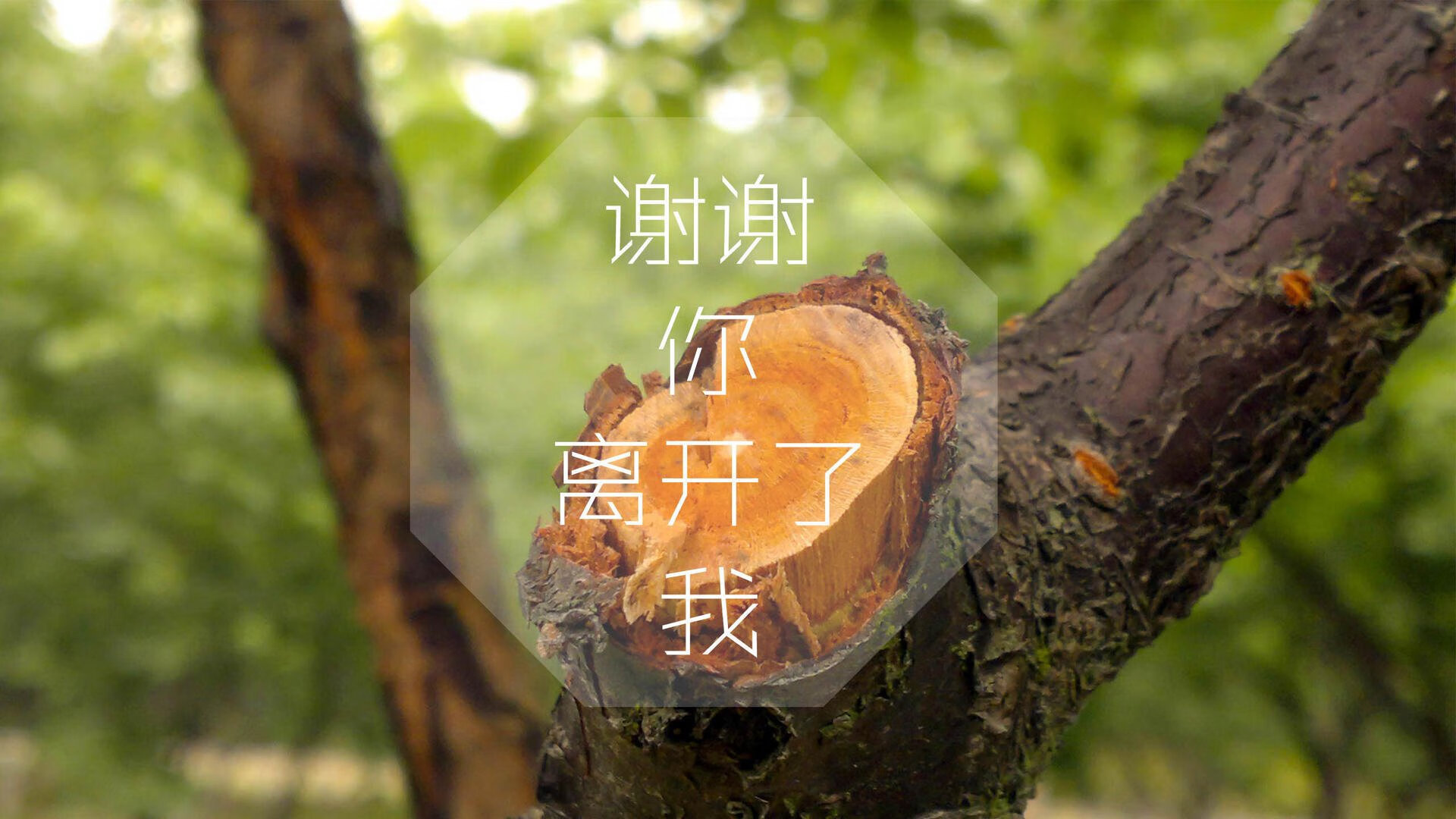 制药行业废水处理（制药企业废水处理）